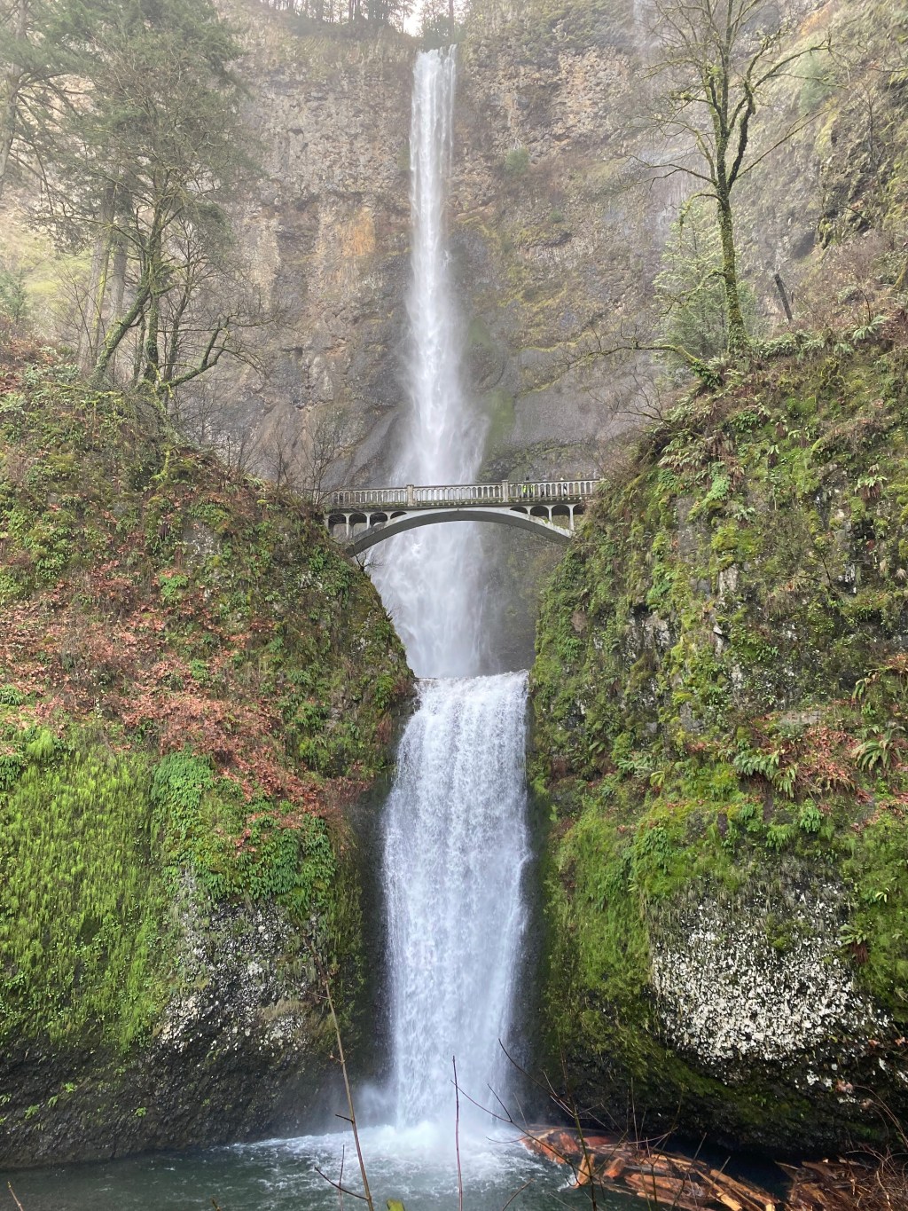 Things to do in&nbsp;Portland